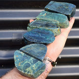 1kg Raw New Zealand Greenstone / Pounamu Carving Slices (R14B373)