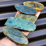 1kg Raw New Zealand Greenstone / Pounamu Carving Slices (R14B430)