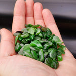 100g Small Greenstone Offcut Tumbles