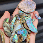 100g Tumbled New Zealand Paua / Abalone Shell Pieces B Grade