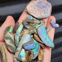 100g Tumbled New Zealand Paua / Abalone Shell Pieces B Grade