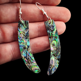 Natural Paua Curved Carving Earrings