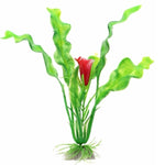 18cm Green Java Fern Aquarium Plant