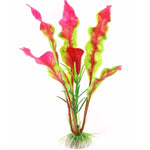 18cm Red / Purple Java Fern Aquarium Plant