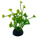 Small Green Aquarium Plant (1X6)