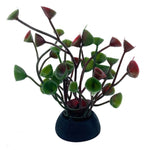 Small Red & Green Aquarium Plant
