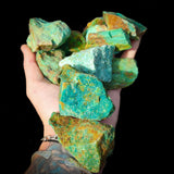 1kg Natural Genuine Arizona Turquoise Carving Rocks (S14B8)