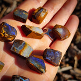 10pcs Raw Australian Boulder Opal Rub Parcel (S14B29)