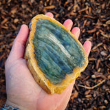 523g Raw Nephrite Jade Carving Slice (R14B686)