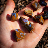10pcs Raw Australian Boulder Opal Rub Parcel (S14B32)
