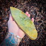 550g Raw NZ Greenstone Pounamu Carving Slice(R14B644)