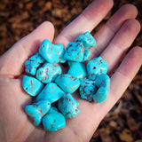 16x Large Nugget Turquoise Beads