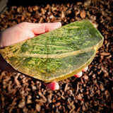 751g Raw Nephrite Jade Carving Slice (R14B725)
