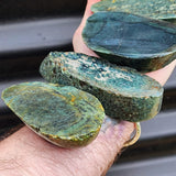 1kg Raw New Zealand Greenstone / Pounamu Carving Slices (R14B442)