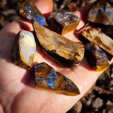 970 Carats 10pcs Raw Australian Boulder Opal Rub Parcel (S14B30)