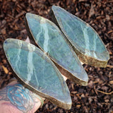 1.3kg Raw Nephrite Jade Carving Slices (R14B659)