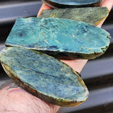 1kg Raw New Zealand Greenstone / Pounamu Carving Slices (R14B430)