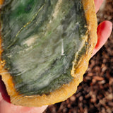 564g Raw Nephrite Jade Carving Slice (R14B724)