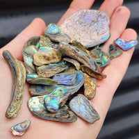 100g Tumbled New Zealand Paua / Abalone Shell Pieces B Grade