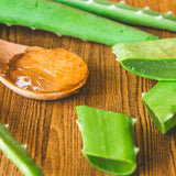 20x Aloe Vera Incense Sticks