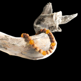 Raw Honey Baltic Amber & Pine Wood Elastic Bracelet