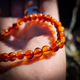 Polished Cognac Baltic Amber Elastic Bracelet