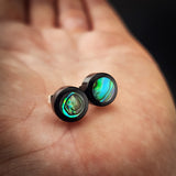 Round Black Bone Carving & Paua Stud Earrings