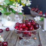 20x Cherry & Jasmine Incense Sticks