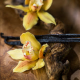 20x Vanilla Incense Sticks