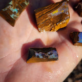 10pcs Raw Australian Boulder Opal (N822)