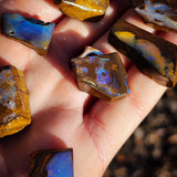 10pcs Raw Australian Boulder Opal (N822)