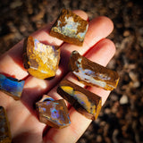 10pcs Raw Australian Boulder Opal (N822)