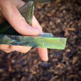 467g Raw Nephrite Jade Carving Slices (R14B684)