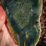 845g Raw Nephrite Jade Carving Slice (R14B670)