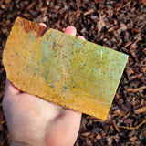 629g Raw Nephrite Jade Carving Slice (R14B665)
