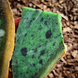 781g Raw Nephrite Jade Carving Slices (R14B784)