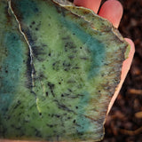 509g Raw Nephrite Jade Carving Slice (R14B655)