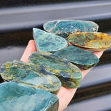 1kg Raw New Zealand Greenstone / Pounamu Carving Slices (R14B433)