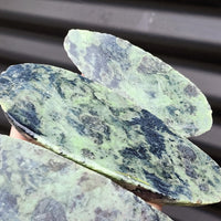 1kg Raw New Zealand Greenstone / Pounamu Carving Slices (R14B227)