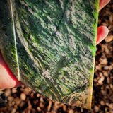 594g Raw Nephrite Jade Carving Slice (R14B733)