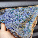1.75kg Natural Iolite with Green Tourmaline Carving Slice (R14B476)