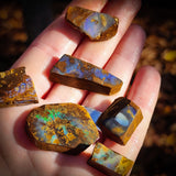 10pcs Raw Australian Boulder Opal Rub Parcel (S14B20)