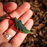 NZ Greenstone Pounamu Fern Pendant Necklace (N961)