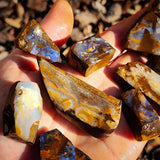 970 Carats 10pcs Raw Australian Boulder Opal Rub Parcel (S14B30)