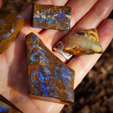 660 carat 5pcs Large Raw Australian Boulder Opal Rub Parcel (S14B44)