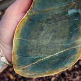 900g Raw Nephrite Jade Carving Slice (R14B667)