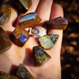 10pcs Raw Australian Boulder Opal Rub Parcel (S14B22)