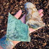 631g Raw Nephrite Jade Carving Slices (R14B696)