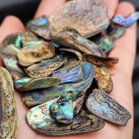 100g Tumbled New Zealand Paua / Abalone Shell Pieces B Grade