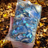 423g Tumbled Paua Pieces (S14B25)